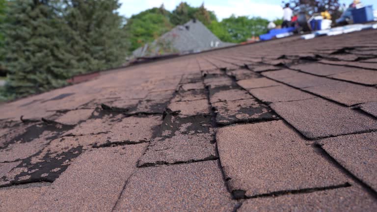 4 Ply Roofing in Atwater, MN